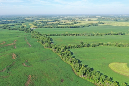 Top-Quality Harrison County Farm – 517 Acres m/l - image 19