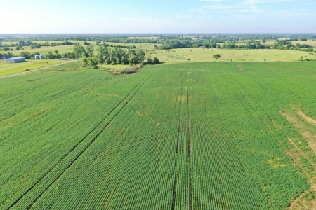 Top-Quality Harrison County Farm – 517 Acres m/l - image 40
