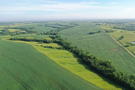 Top-Quality Harrison County Farm – 517 Acres m/l - image 6