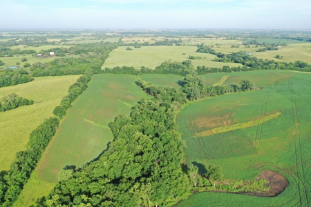 Top-Quality Harrison County Farm – 517 Acres m/l - image 8