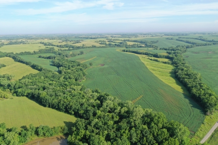 Top-Quality Harrison County Farm – 517 Acres m/l - image 3