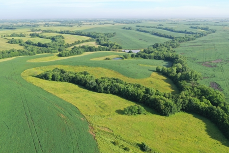 Top-Quality Harrison County Farm – 517 Acres m/l - image 10