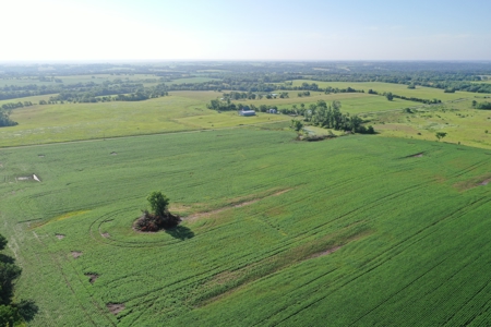 Top-Quality Harrison County Farm – 517 Acres m/l - image 39