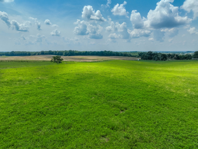 Open Land For Sale In Northwest Alabama With Pond, Building Sites - image 42