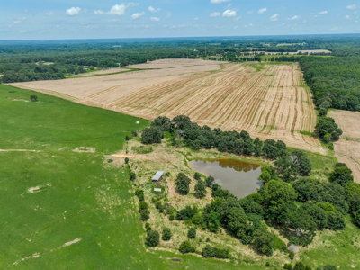 Open Land For Sale In Northwest Alabama With Pond, Building Sites - image 20