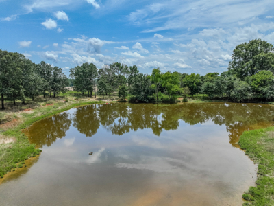 Open Land For Sale In Northwest Alabama With Pond, Building Sites - image 10