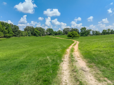 Open Land For Sale In Northwest Alabama With Pond, Building Sites - image 35
