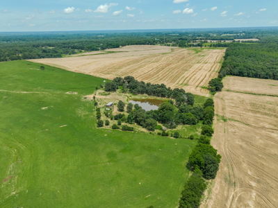 Open Land For Sale In Northwest Alabama With Pond, Building Sites - image 19