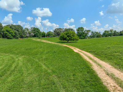 Open Land For Sale In Northwest Alabama With Pond, Building Sites - image 36
