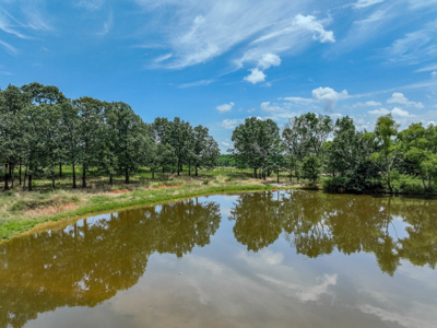 Open Land For Sale In Northwest Alabama With Pond, Building Sites - image 15
