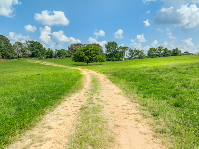 Open Land For Sale In Northwest Alabama With Pond, Building Sites - image 37