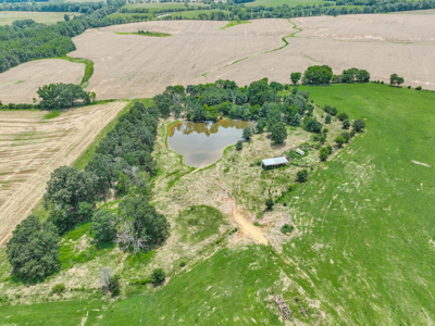 Open Land For Sale In Northwest Alabama With Pond, Building Sites - image 8