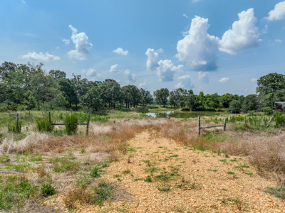 Open Land For Sale In Northwest Alabama With Pond, Building Sites - image 24