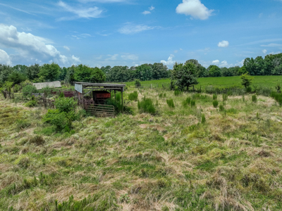 Open Land For Sale In Northwest Alabama With Pond, Building Sites - image 13