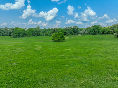 Open Land For Sale In Northwest Alabama With Pond, Building Sites - image 41