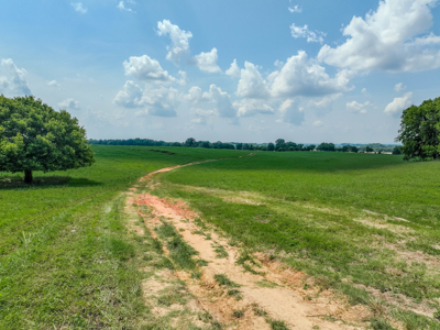 Open Land For Sale In Northwest Alabama With Pond, Building Sites - image 39