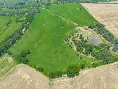 Open Land For Sale In Northwest Alabama With Pond, Building Sites - image 17