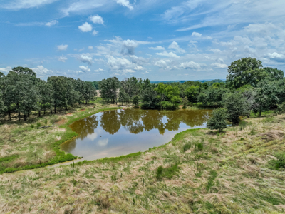 Open Land For Sale In Northwest Alabama With Pond, Building Sites - image 9