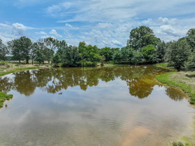 Open Land For Sale In Northwest Alabama With Pond, Building Sites - image 11
