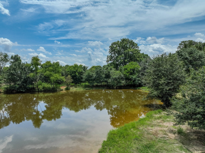 Open Land For Sale In Northwest Alabama With Pond, Building Sites - image 14