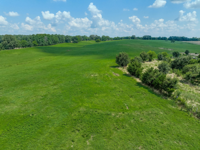 Open Land For Sale In Northwest Alabama With Pond, Building Sites - image 30