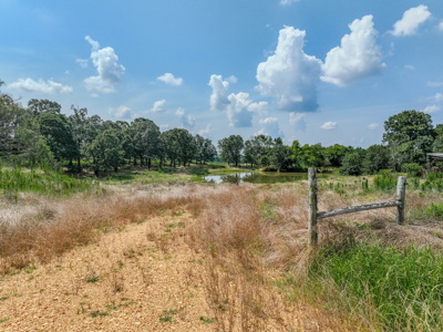 Open Land For Sale In Northwest Alabama With Pond, Building Sites - image 25