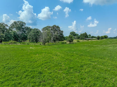 Open Land For Sale In Northwest Alabama With Pond, Building Sites - image 22