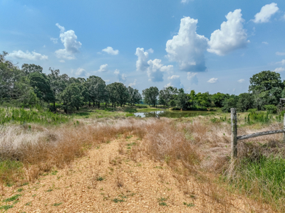 Open Land For Sale In Northwest Alabama With Pond, Building Sites - image 26