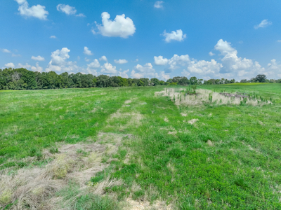 Open Land For Sale In Northwest Alabama With Pond, Building Sites - image 28