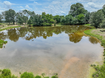 Open Land For Sale In Northwest Alabama With Pond, Building Sites - image 12