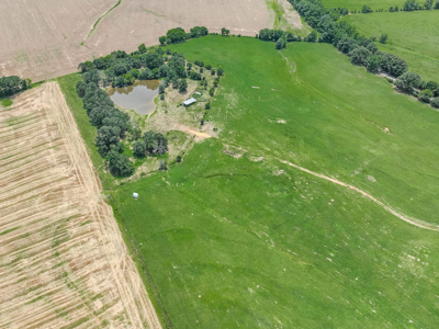 Open Land For Sale In Northwest Alabama With Pond, Building Sites - image 7
