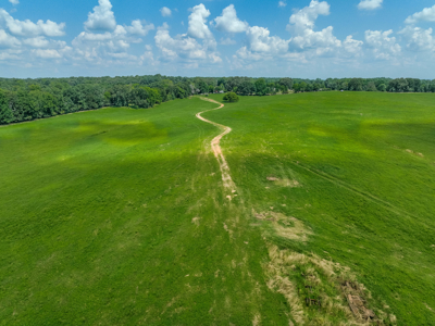 Open Land For Sale In Northwest Alabama With Pond, Building Sites - image 34