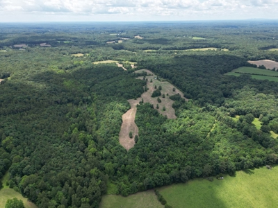 Prime Land with Trails, Water, & Division Rights - image 11