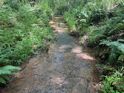 Prime Land with Trails, Water, & Division Rights - image 16