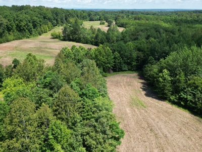 Prime Land with Trails, Water, & Division Rights - image 6