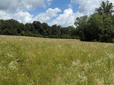Prime Land with Trails, Water, & Division Rights - image 19