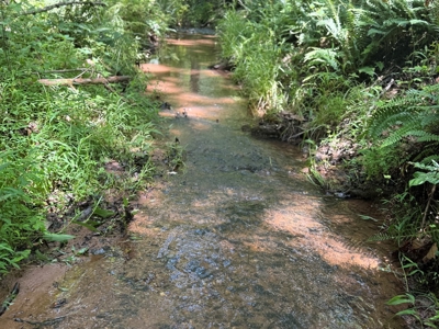 Prime Land with Trails, Water, & Division Rights - image 17