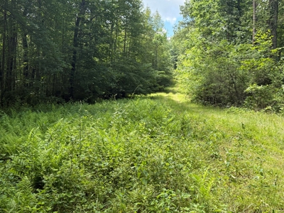 Prime Land with Trails, Water, & Division Rights - image 15