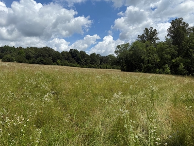Prime Land with Trails, Water, & Division Rights - image 18