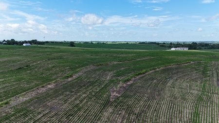 Tract 1 Cooper Family Farm Taylor County Iowa i-Auction - image 2
