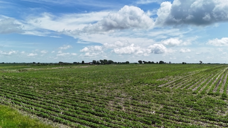 Tract 1 Cooper Family Farm Taylor County Iowa i-Auction - image 9