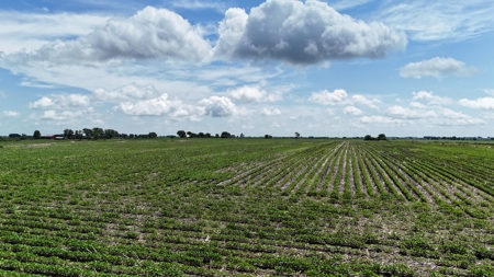 Tract 1 Cooper Family Farm Taylor County Iowa i-Auction - image 8