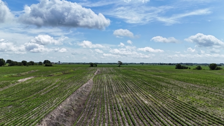 Tract 1 Cooper Family Farm Taylor County Iowa i-Auction - image 12