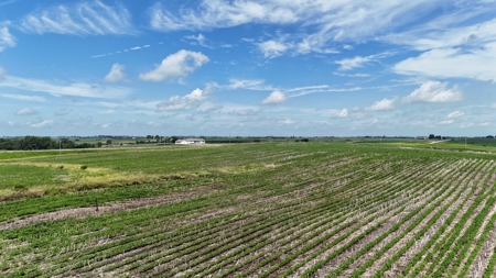 Tract 1 Cooper Family Farm Taylor County Iowa i-Auction - image 10