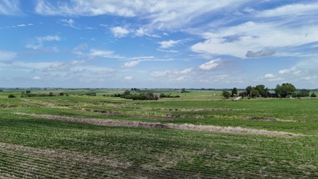 Tract 1 Cooper Family Farm Taylor County Iowa i-Auction - image 13
