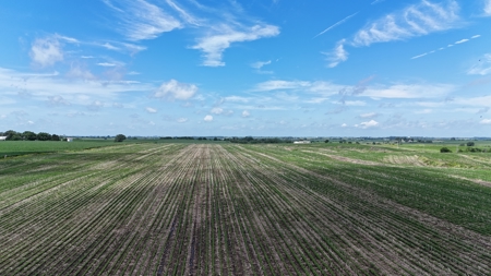 Tract 1 Cooper Family Farm Taylor County Iowa i-Auction - image 16
