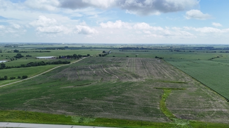 Tract 1 Cooper Family Farm Taylor County Iowa i-Auction - image 4