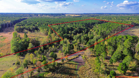 East Texas Land For Sale Offering Hunting, Recreation, Homesite - image 3