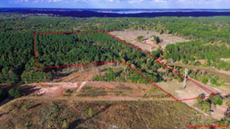 East Texas Land For Sale Offering Hunting, Recreation, Homesite - image 1