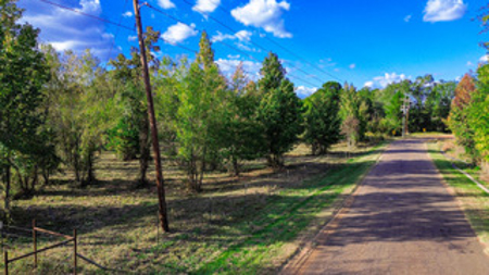 East Texas Land For Sale Offering Hunting, Recreation, Homesite - image 5